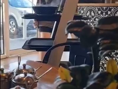 takeaway-dining-business-robot-waiter-fully-fitted-kitchen-croydon-vic-0