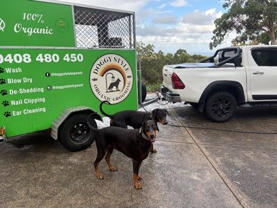 established-mobile-dog-grooming-business-for-sale-palm-beach-qld-0