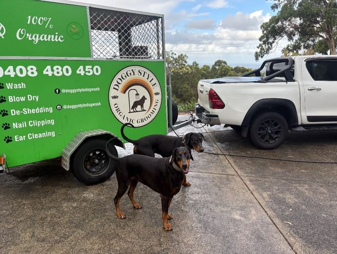 established-mobile-dog-grooming-business-for-sale-palm-beach-qld-0