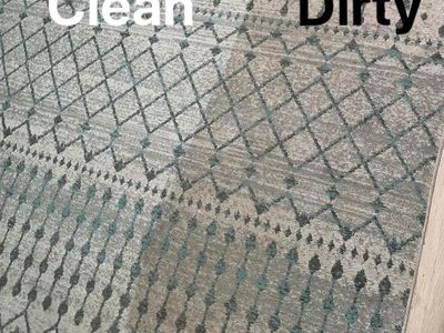 established-gold-coast-carpet-cleaning-pest-control-business-100k-profit-1