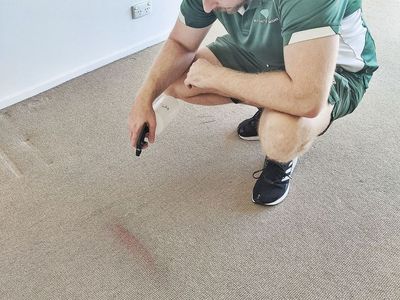 established-gold-coast-carpet-cleaning-pest-control-business-100k-profit-6