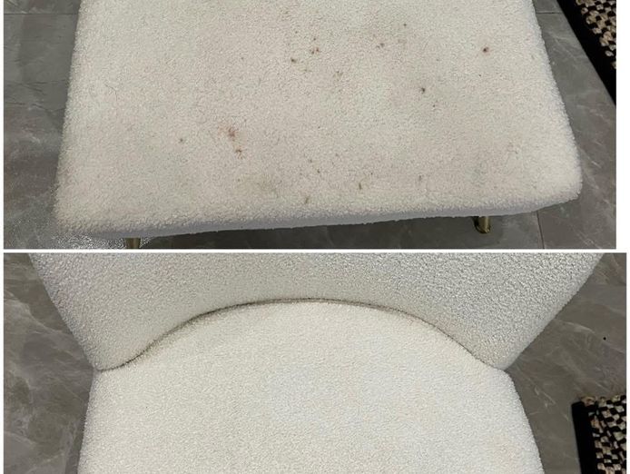 established-gold-coast-carpet-cleaning-pest-control-business-100k-profit-8